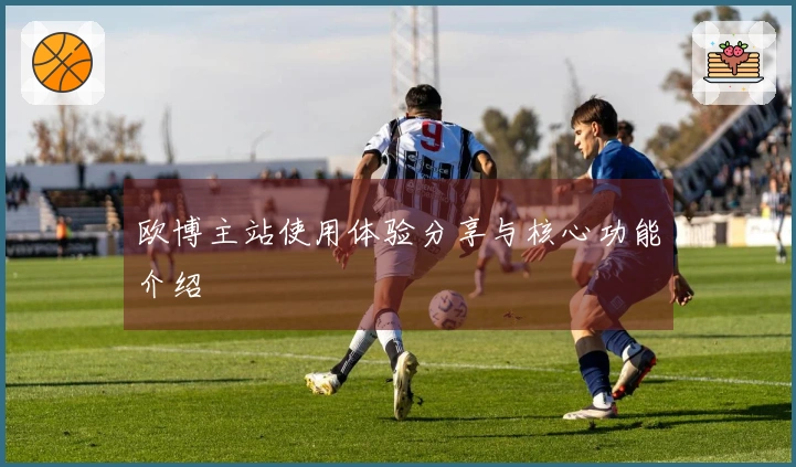 欧博主站使用体验分享与核心功能介绍