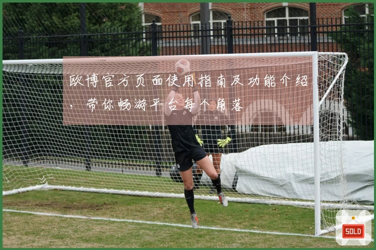 欧博官方页面使用指南及功能介绍，带你畅游平台每个角落
